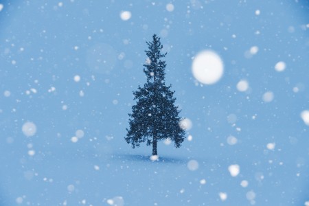 ホワイトクリスマスが必ず実現できる!“インスタントスノー”って知っている?