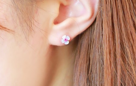 シェルピアス